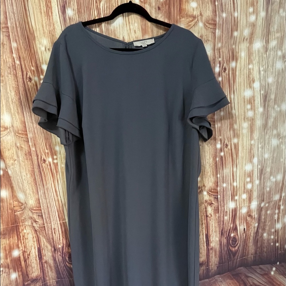 Loft Plus Shift Dress with Ruffle Sleeves